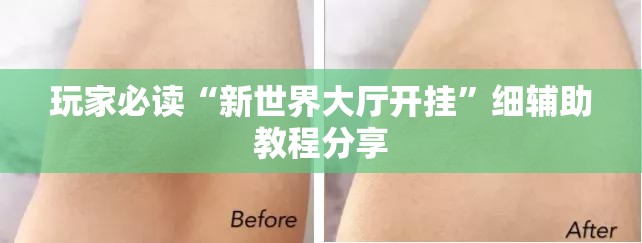 玩家必读“新世界大厅开挂”细辅助教程分享