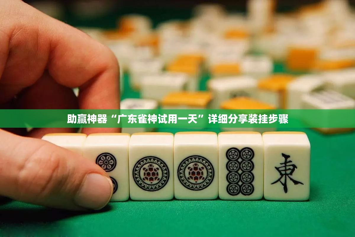 助赢神器“广东雀神试用一天”详细分享装挂步骤