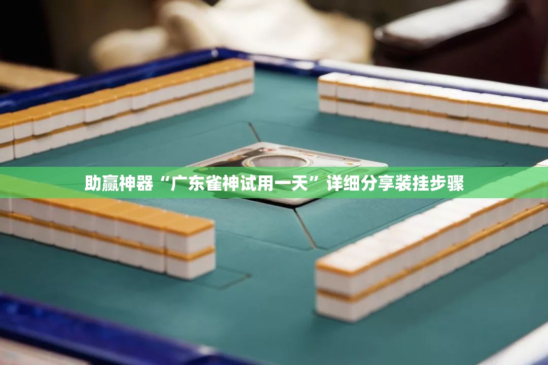 助赢神器“广东雀神试用一天”详细分享装挂步骤