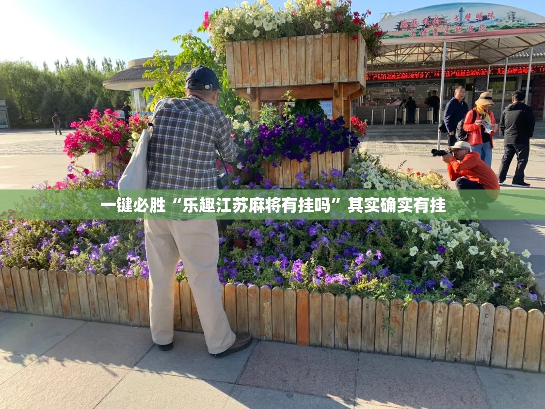 一键必胜“乐趣江苏麻将有挂吗”其实确实有挂