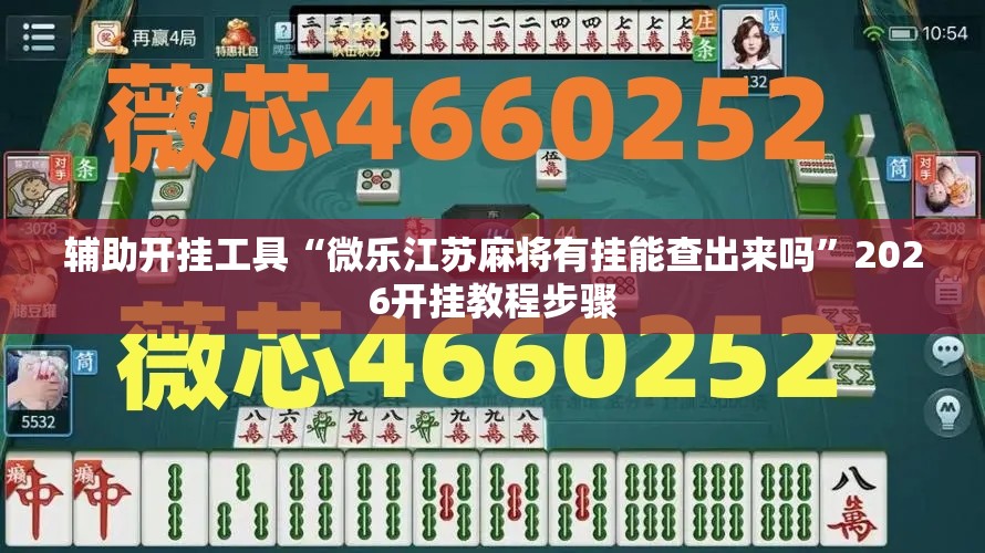 辅助开挂工具“微乐江苏麻将有挂能查出来吗	”2026开挂教程步骤