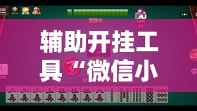 辅助开挂工具“微信小程序微乐麻将必赢神器”详细开挂教程