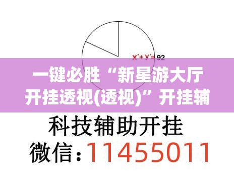 一键必胜“新星游大厅开挂透视(透视)”开挂辅助脚本+详细开挂安装教程
