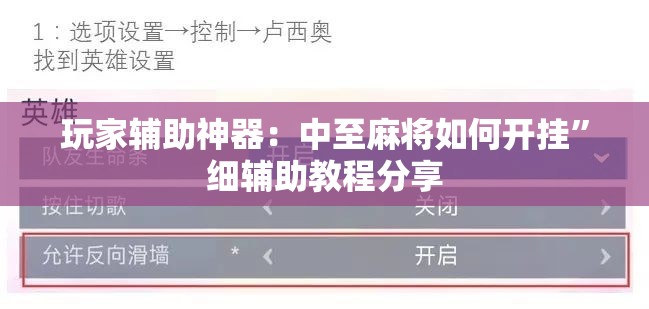 玩家辅助神器：中至麻将如何开挂”细辅助教程分享