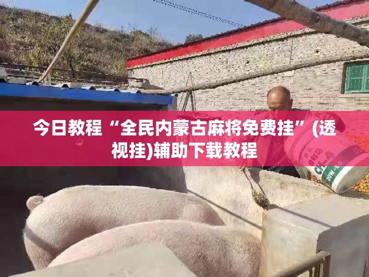 今日教程“全民内蒙古麻将免费挂”(透视挂)辅助下载教程