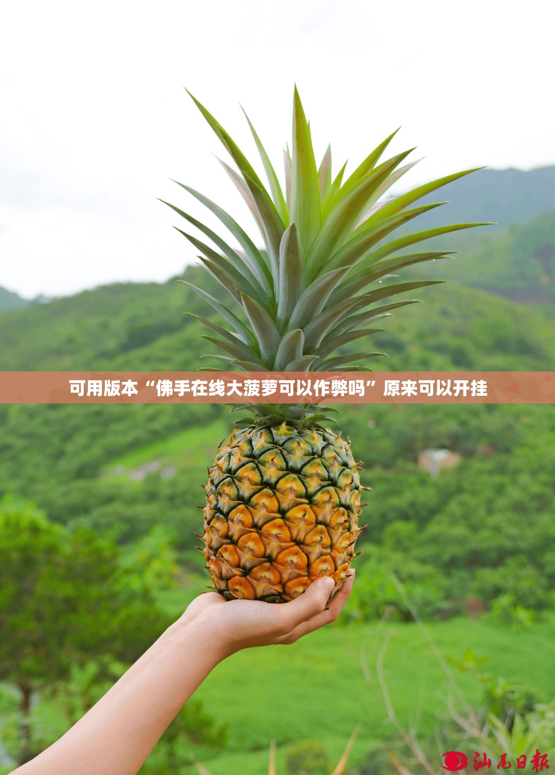 可用版本“佛手在线大菠萝可以作弊吗”原来可以开挂