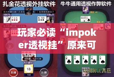 玩家必读“impoker透视挂”原来可以开挂
