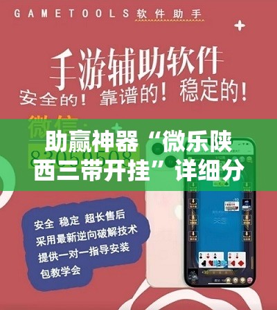 助赢神器“微乐陕西三带开挂”详细分享装挂步骤