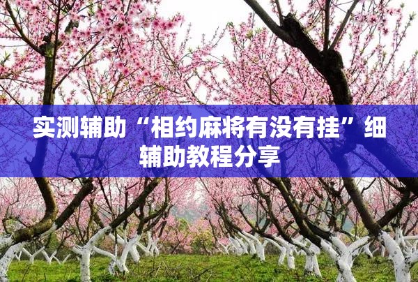 实测辅助“相约麻将有没有挂”细辅助教程分享