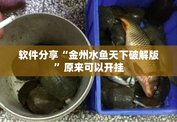 软件分享“金州水鱼天下破解版”原来可以开挂