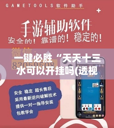 一键必胜“天天十三水可以开挂吗(透视)”开挂辅助脚本+详细开挂安装教程