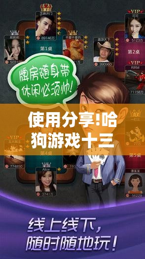 使用分享!哈狗游戏十三道辅助”详细分享装挂步骤