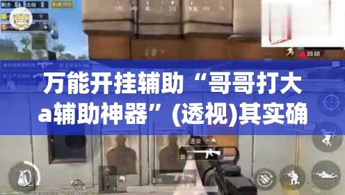 万能开挂辅助“哥哥打大a辅助神器”(透视)其实确实有挂