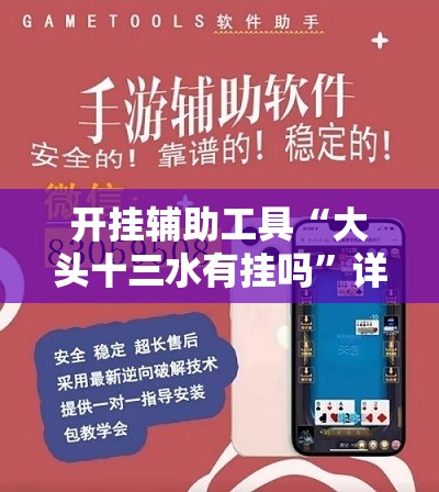 开挂辅助工具“大头十三水有挂吗	”详细外挂透视辅助软件教程