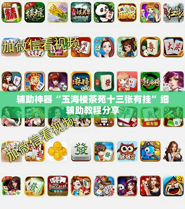 辅助神器“玉海楼茶苑十三张有挂”细辅助教程分享