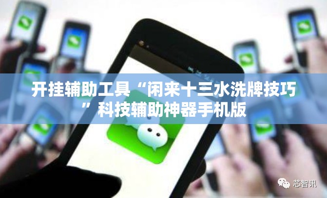 开挂辅助工具“闲来十三水洗牌技巧”科技辅助神器手机版