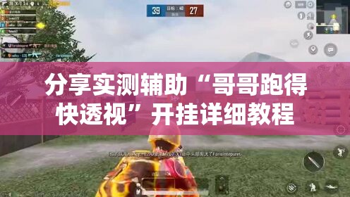 分享实测辅助“哥哥跑得快透视”开挂详细教程