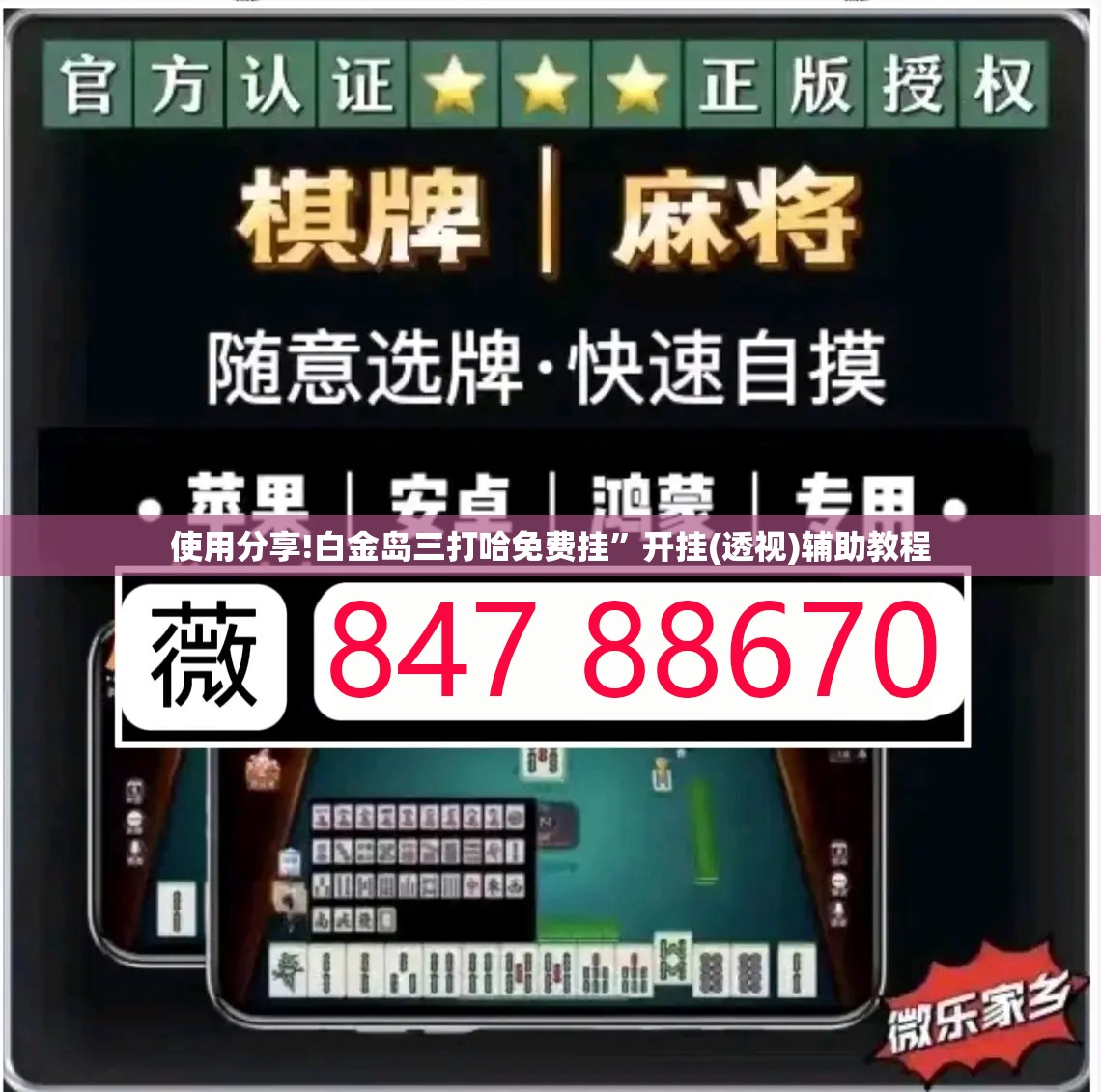 使用分享!白金岛三打哈免费挂”开挂(透视)辅助教程