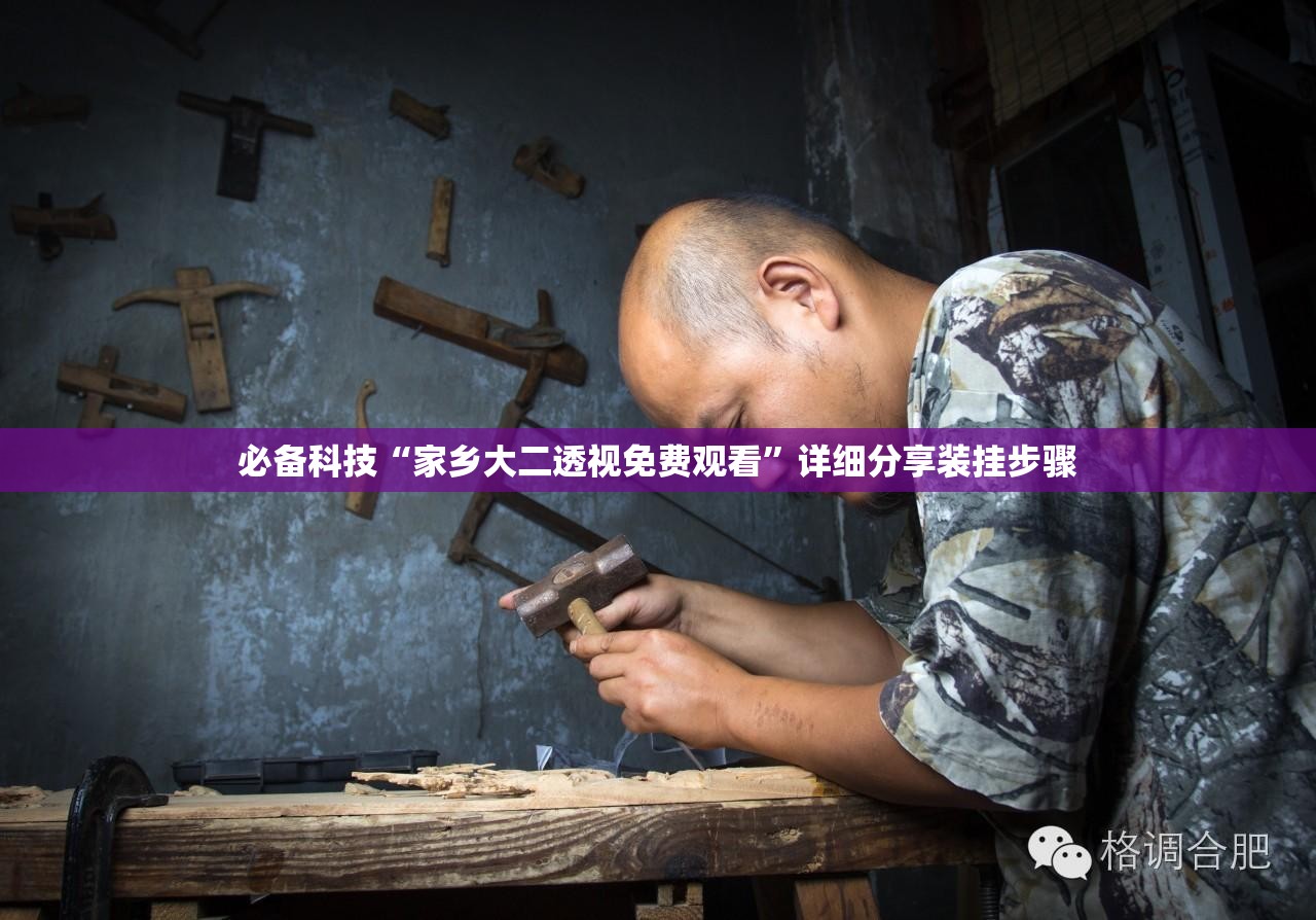 必备科技“家乡大二透视免费观看”详细分享装挂步骤