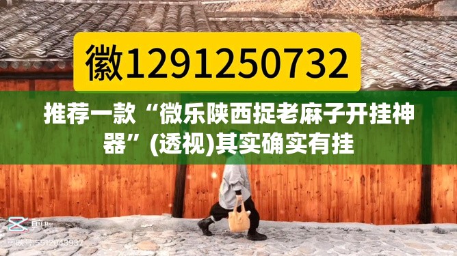 推荐一款“微乐陕西捉老麻子开挂神器”(透视)其实确实有挂