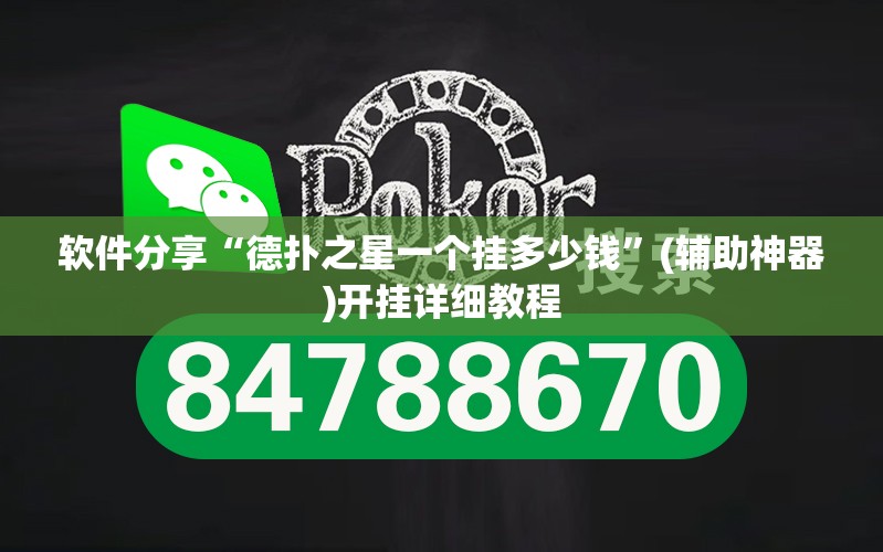 软件分享“德扑之星一个挂多少钱	”(辅助神器)开挂详细教程