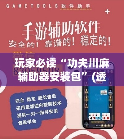 玩家必读“功夫川麻辅助器安装包”(透视)其实确实有挂