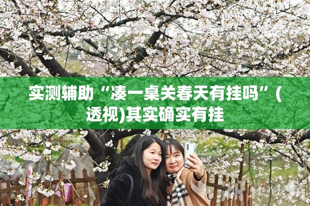 实测辅助“凑一桌关春天有挂吗”(透视)其实确实有挂