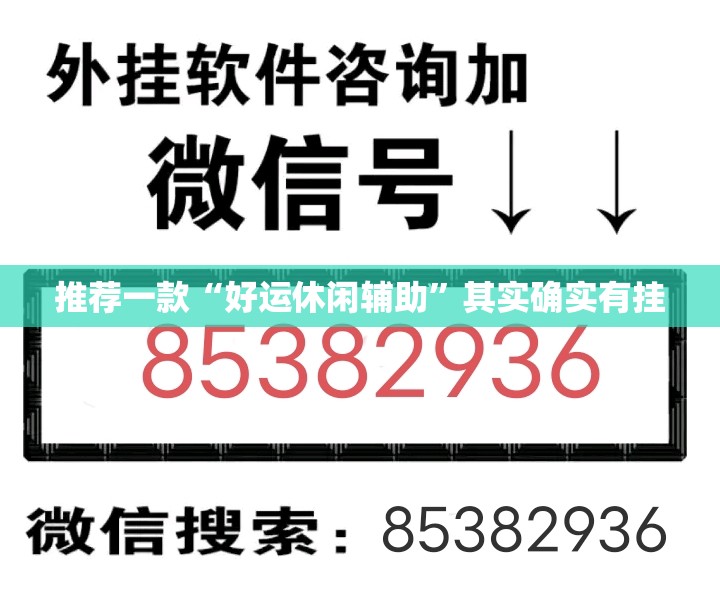 推荐一款“好运休闲辅助”其实确实有挂
