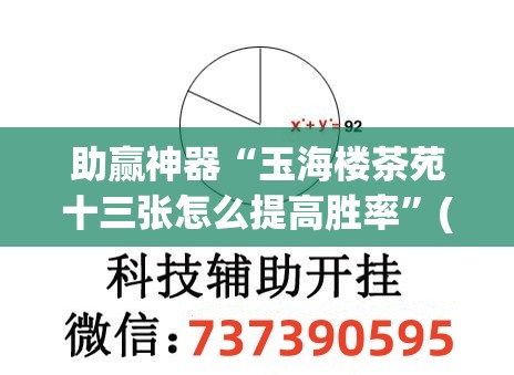 助赢神器“玉海楼茶苑十三张怎么提高胜率”(辅助神器)开挂详细教程
