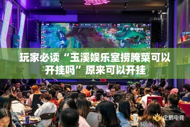 玩家必读“玉溪娱乐室捞腌菜可以开挂吗”原来可以开挂