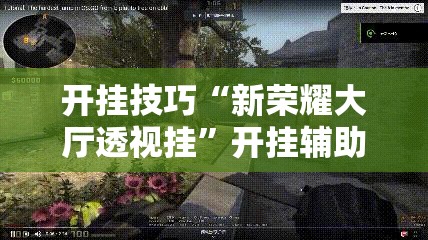开挂技巧“新荣耀大厅透视挂”开挂辅助脚本+详细开挂安装教程