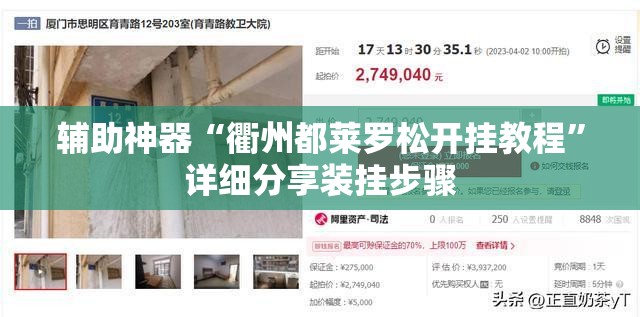 辅助神器“衢州都莱罗松开挂教程”详细分享装挂步骤