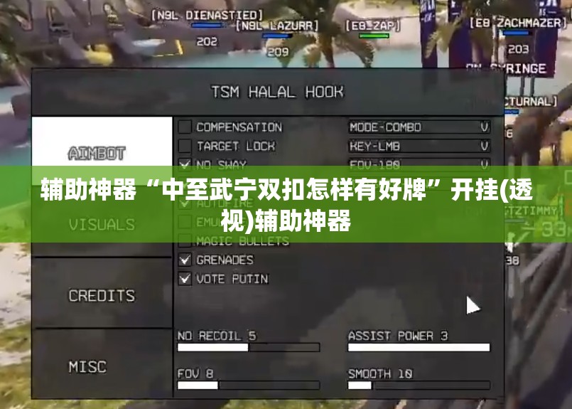 辅助神器“中至武宁双扣怎样有好牌	”开挂(透视)辅助神器