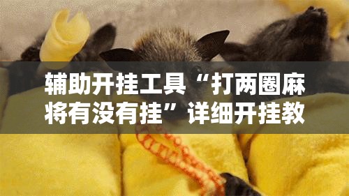 辅助开挂工具“打两圈麻将有没有挂”详细开挂教程