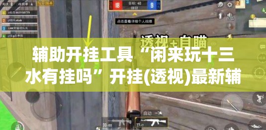 辅助开挂工具“闲来玩十三水有挂吗”开挂(透视)最新辅助详细