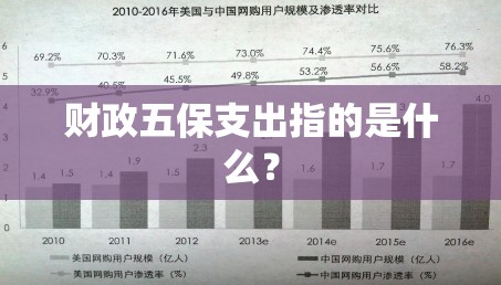 财政五保支出指的是什么？