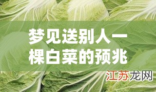 梦见送别人一棵白菜的预兆 梦见送别人一棵白菜的预兆