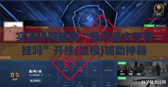 实测神器辅助“新天道大厅有挂吗”开挂(透视)辅助神器
