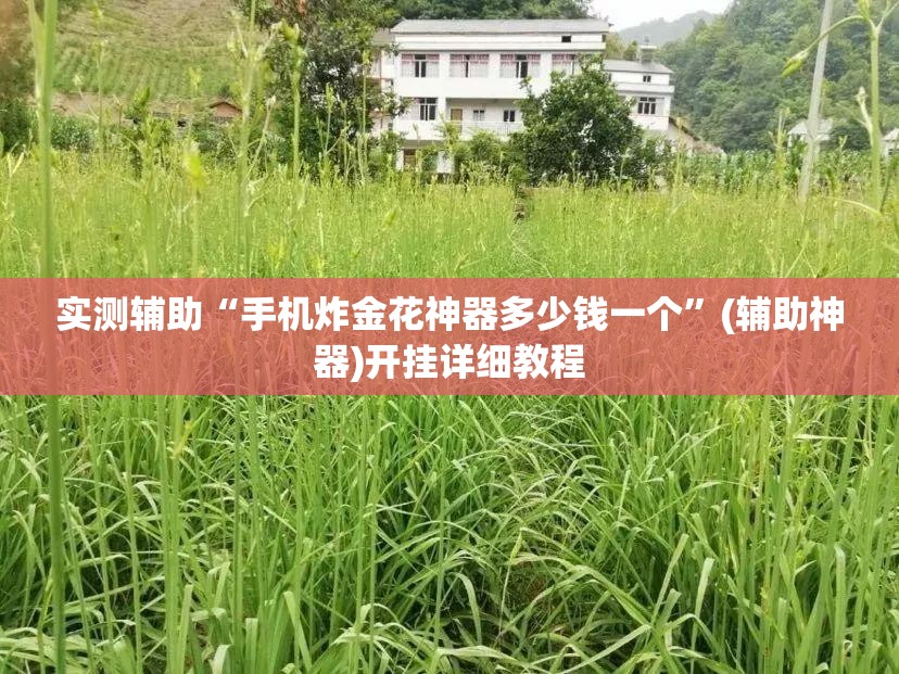 实测辅助“手机炸金花神器多少钱一个”(辅助神器)开挂详细教程