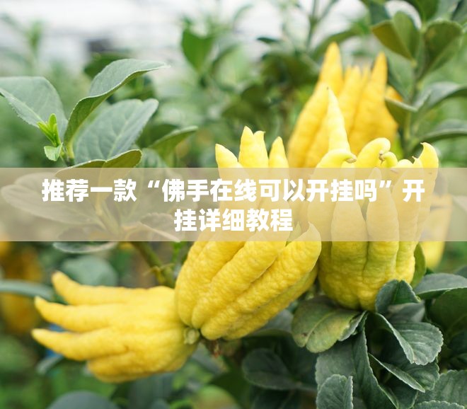 推荐一款“佛手在线可以开挂吗”开挂详细教程