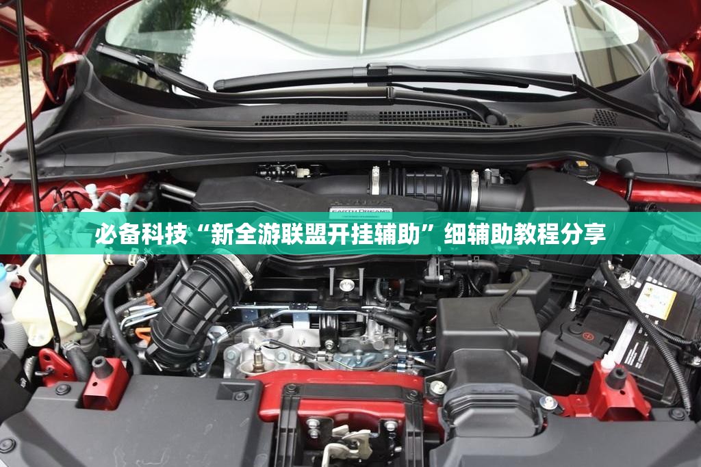 必备科技“新全游联盟开挂辅助”细辅助教程分享