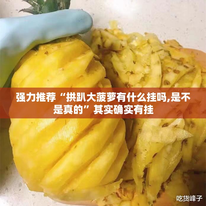 强力推荐“拱趴大菠萝有什么挂吗,是不是真的”其实确实有挂