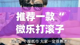 推荐一款“微乐打滚子有没有挂”(透视)其实确实有挂