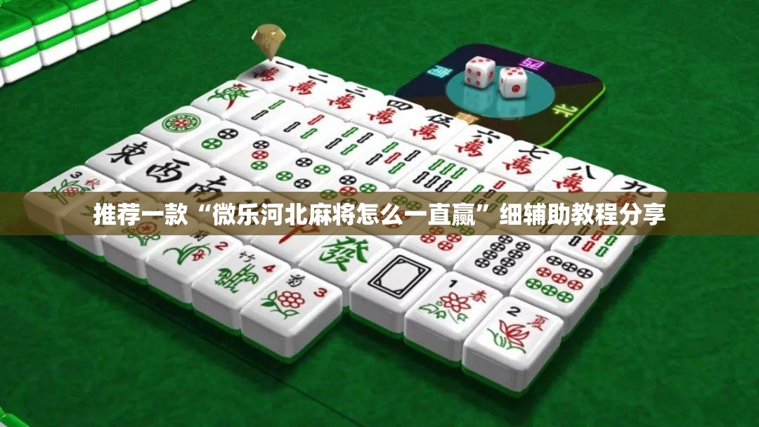 推荐一款“微乐河北麻将怎么一直赢”细辅助教程分享