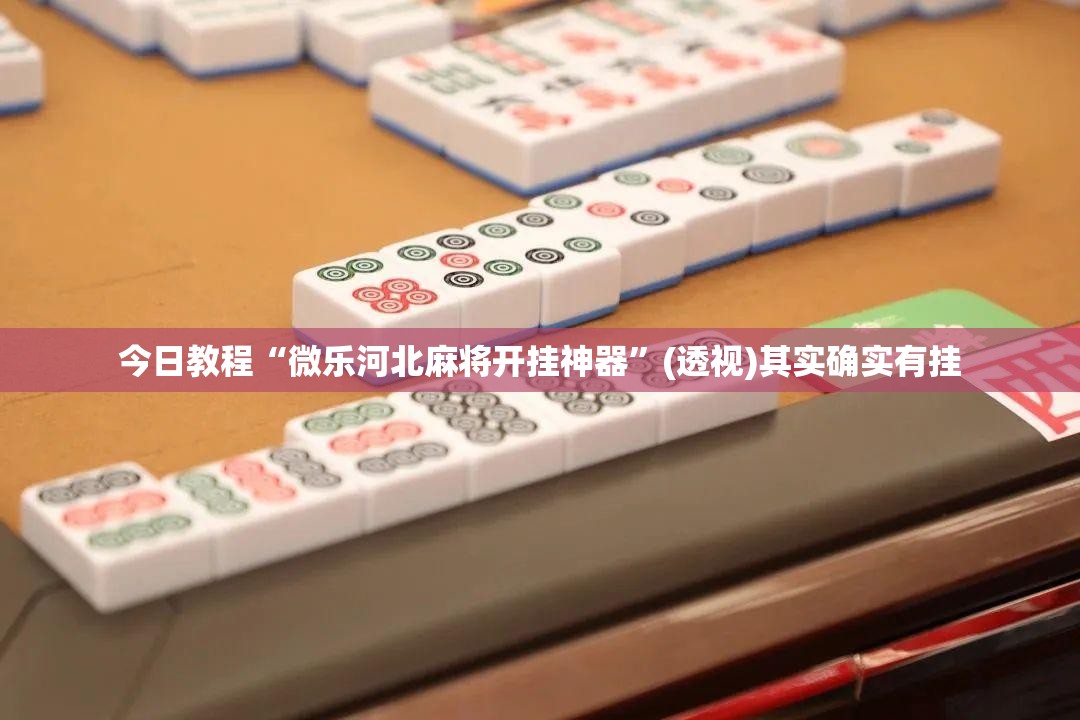 今日教程“微乐河北麻将开挂神器”(透视)其实确实有挂