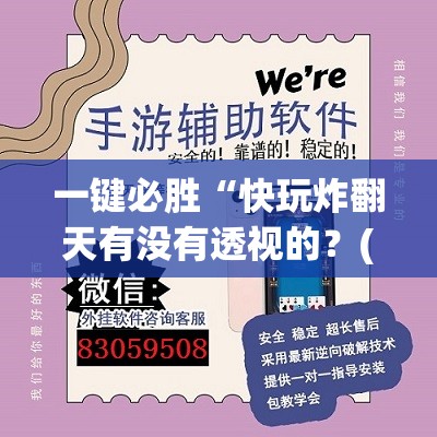 一键必胜“快玩炸翻天有没有透视的？(透视)	”开挂辅助脚本+详细开挂安装教程