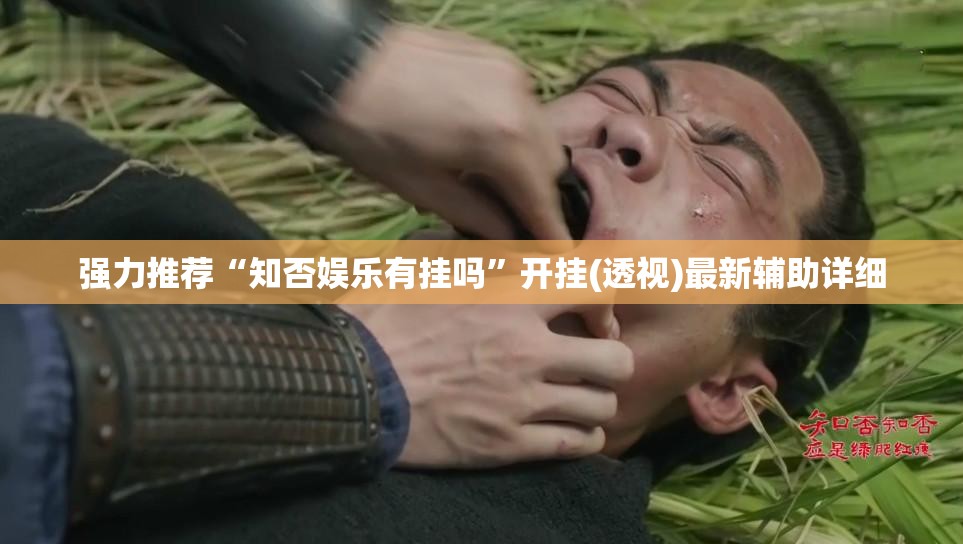 强力推荐“知否娱乐有挂吗	”开挂(透视)最新辅助详细