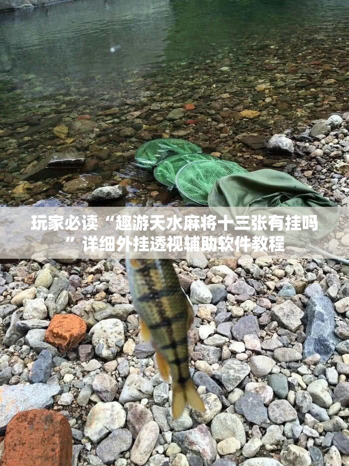 玩家必读“趣游天水麻将十三张有挂吗”详细外挂透视辅助软件教程