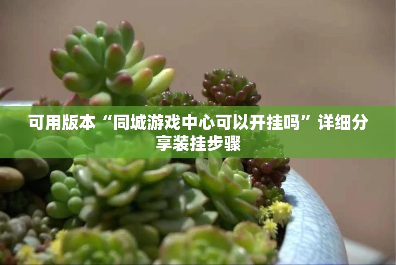 可用版本“同城游戏中心可以开挂吗”详细分享装挂步骤