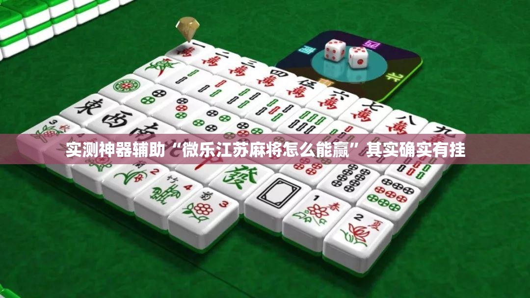 实测神器辅助“微乐江苏麻将怎么能赢”其实确实有挂